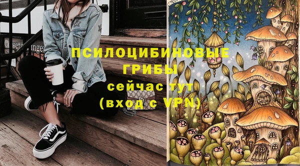 PSILOCYBIN Алексеевка