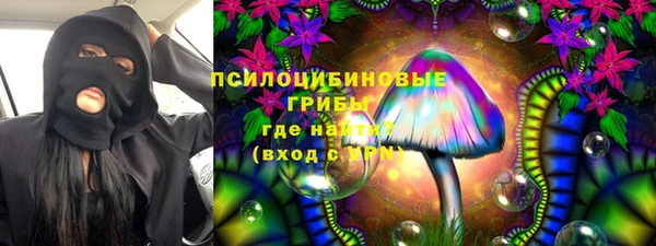 PSILOCYBIN Алексеевка